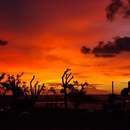 Nautilus Retreat Kalbarri B&B エクステリア 写真
