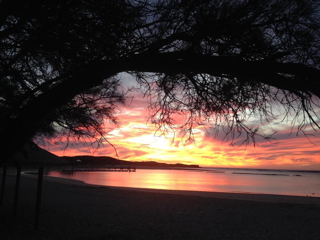 Nautilus Retreat Kalbarri B&B エクステリア 写真